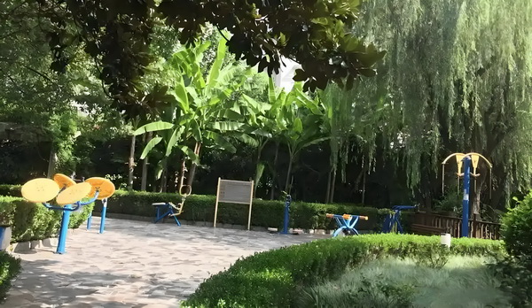 卿国宠妃
