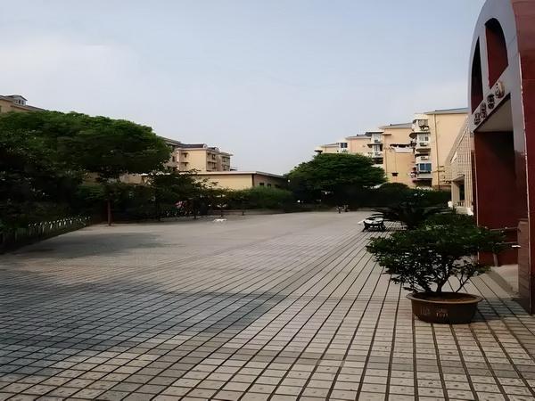 宿命轮回的伤